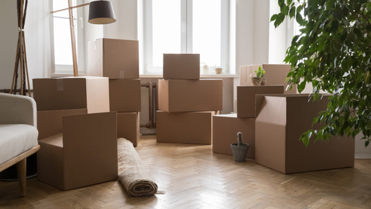 moving boxes in the living room